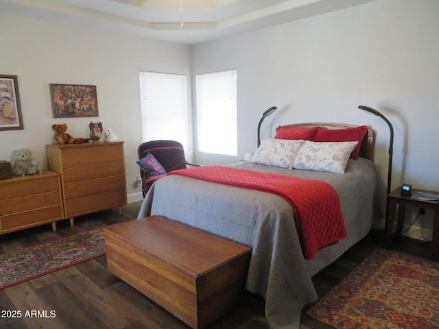 bedroom featuring a raised ceiling and wood finished floors