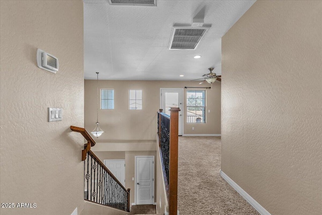 stairway featuring carpet floors