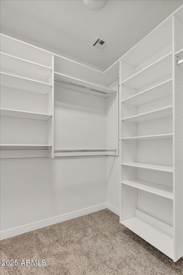 spacious closet with carpet