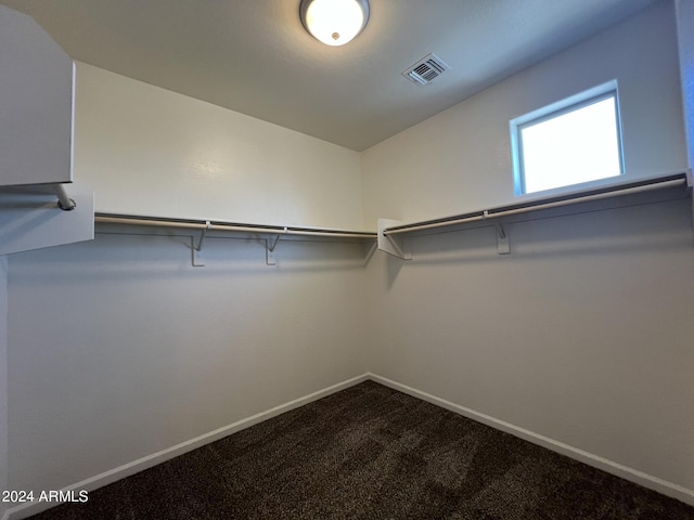 walk in closet with carpet