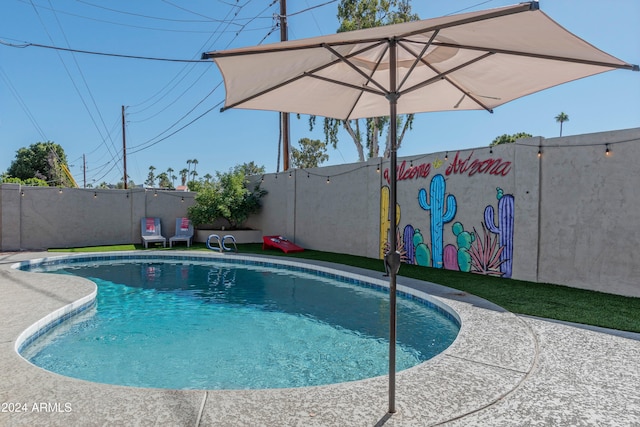 view of pool with a fenced backyard and a fenced in pool