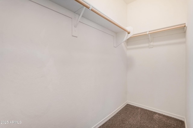 walk in closet with carpet floors