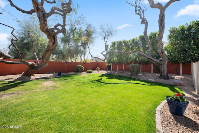 view of yard with a fenced backyard