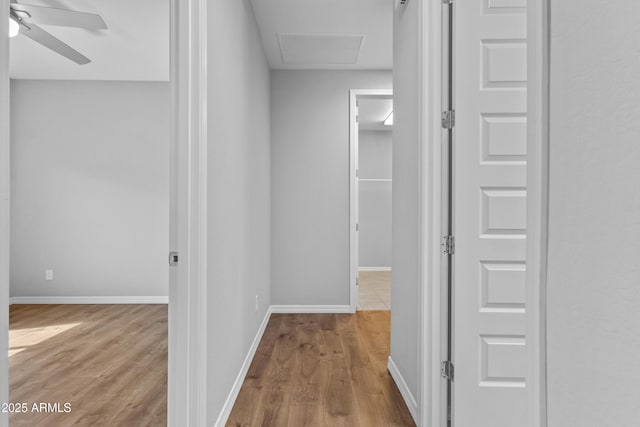 19203 W Jackson St, Buckeye, AZ 85326 - hall featuring wood finished floors, attic access, and baseboards
