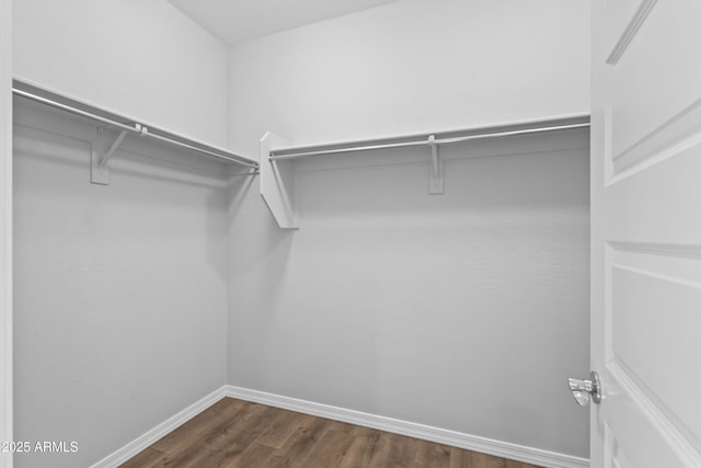 19203 W Jackson St, Buckeye, AZ 85326 - walk in closet with dark wood-type flooring