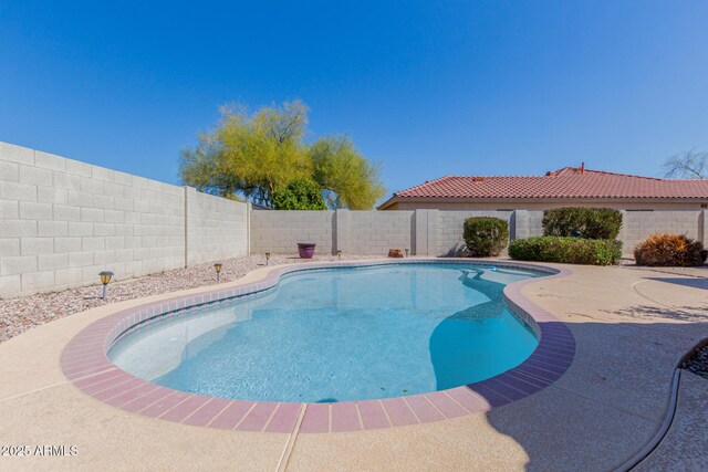 view of swimming pool with a fenced in pool, a patio, and a fenced backyard