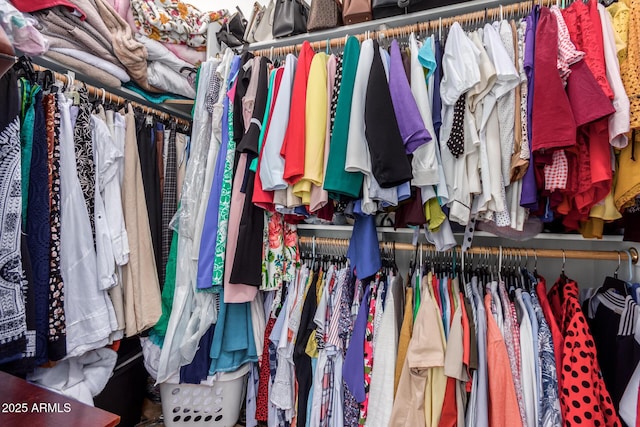 view of walk in closet