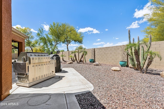 view of patio / terrace featuring an outdoor kitchen