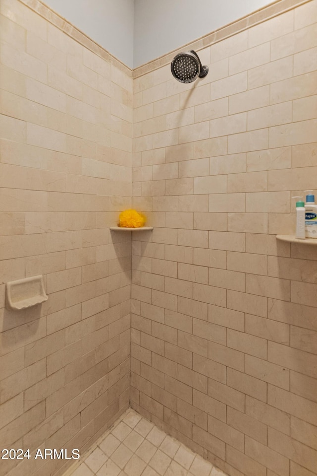 1409 E Dove Pl, Casa Grande, AZ 85122 - bathroom featuring a tile shower