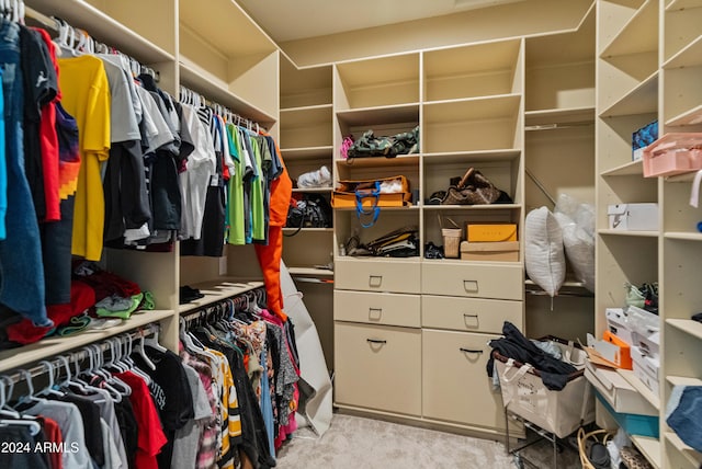 1409 E Dove Pl, Casa Grande, AZ 85122 - view of spacious closet