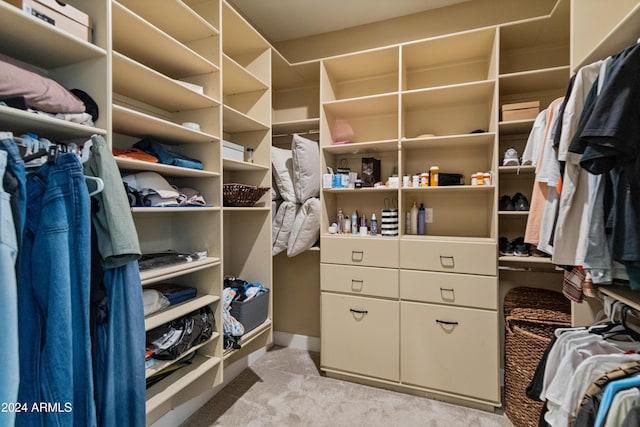 1409 E Dove Pl, Casa Grande, AZ 85122 - walk in closet featuring light colored carpet
