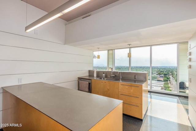 kitchen featuring a wall of windows, a healthy amount of sunlight, a sink, and dishwasher