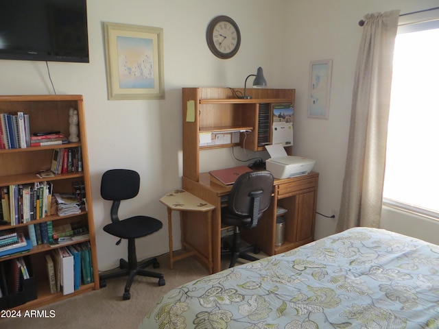 carpeted bedroom featuring multiple windows