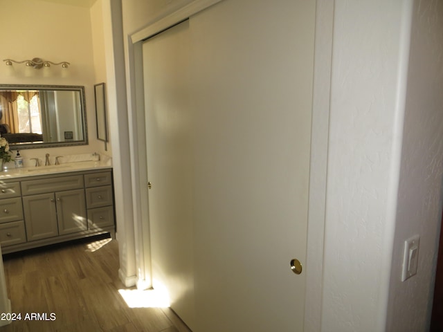 bathroom featuring vanity and hardwood / wood-style floors