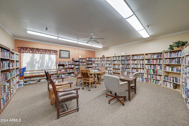 home office featuring crown molding, ceiling fan, and carpet flooring