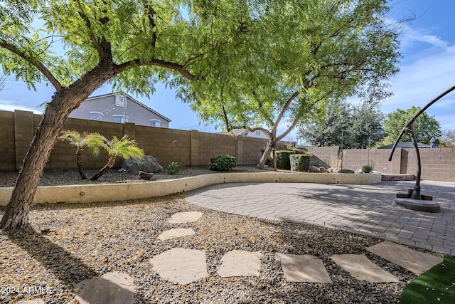 view of yard featuring a patio area