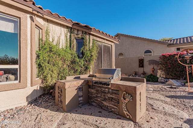 view of patio / terrace with a grill and an outdoor kitchen