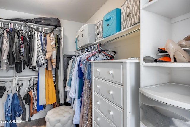 view of walk in closet