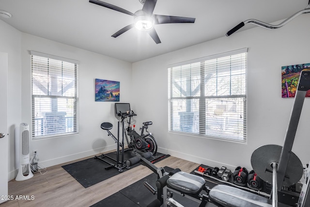 exercise room featuring hardwood / wood-style flooring and ceiling fan