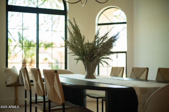 dining space with plenty of natural light