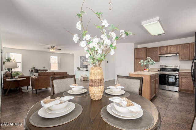 6515 W Hughes Dr, Phoenix, AZ 85043 - dining area featuring ceiling fan