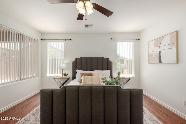 6515 W Hughes Dr, Phoenix, AZ 85043 - bedroom with multiple windows, wood finished floors, and ceiling fan