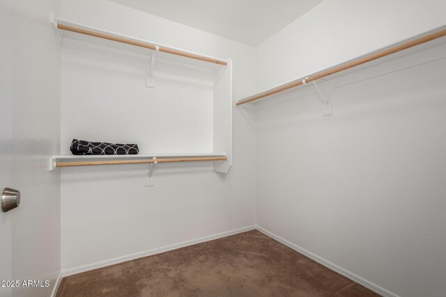 6515 W Hughes Dr, Phoenix, AZ 85043 - spacious closet featuring carpet flooring