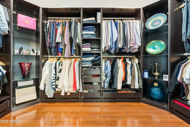 walk in closet featuring wood finished floors