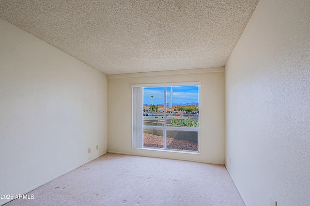 empty room with carpet floors, a textured wall, and a textured ceiling