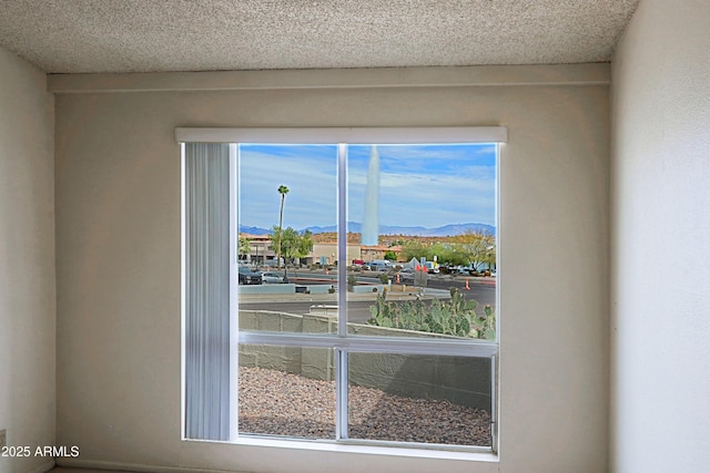 details featuring a mountain view and a textured ceiling