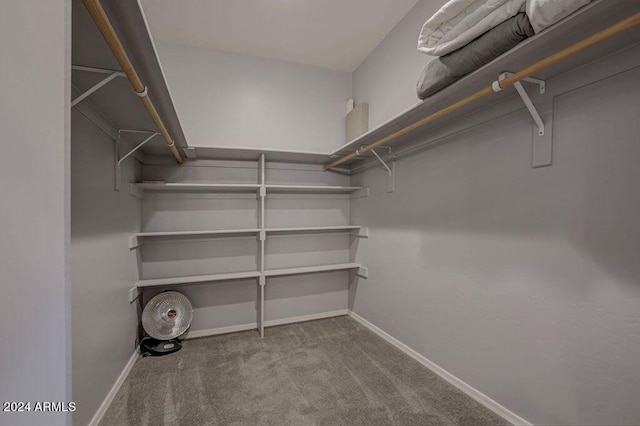 walk in closet with light colored carpet