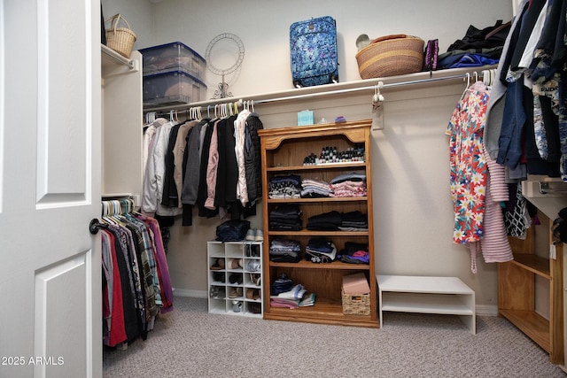 walk in closet with carpet flooring