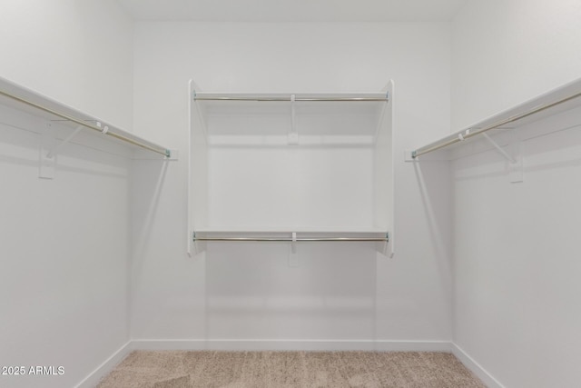 spacious closet featuring carpet floors