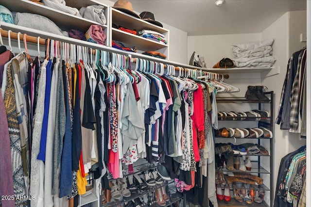 view of walk in closet