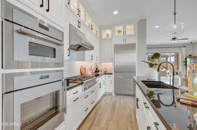 19420 W San Juan Ave, Litchfield Park, AZ 85340 - kitchen with stainless steel appliances, under cabinet range hood, a sink, tasteful backsplash, and light wood-style floors