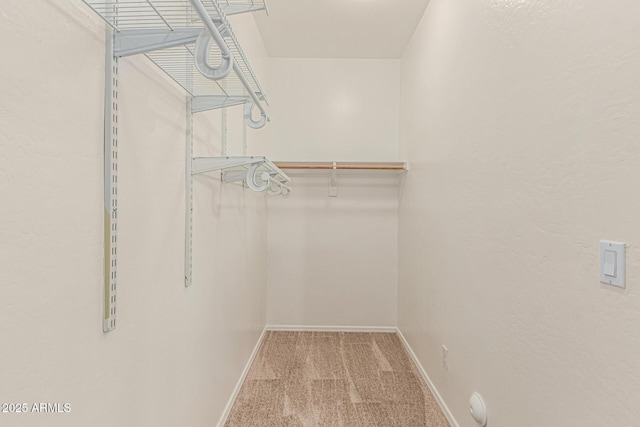 6826 W St Charles Ave, Laveen, AZ 85339 - spacious closet featuring carpet flooring