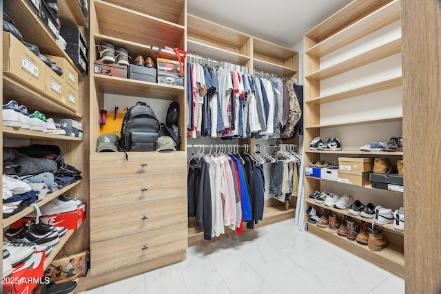 view of spacious closet