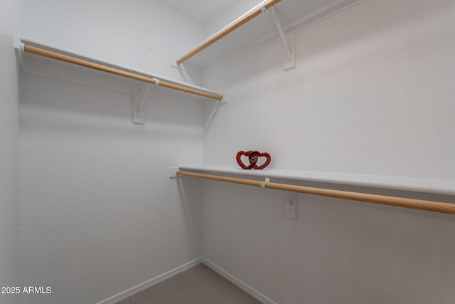 spacious closet featuring carpet