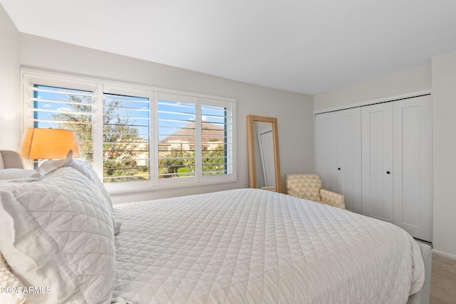 4620 N 68th St Unit 136, Scottsdale, AZ 85251 - bedroom featuring carpet floors and a closet
