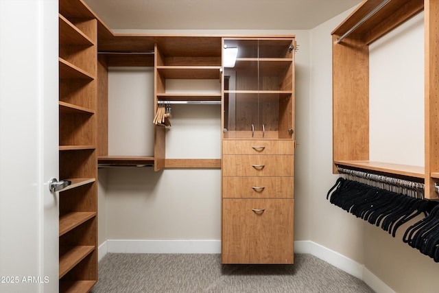 spacious closet with carpet flooring