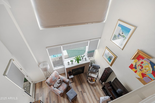 living room with a high ceiling and hardwood / wood-style floors