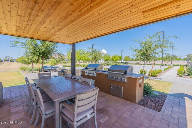 view of patio / terrace featuring area for grilling and a grill