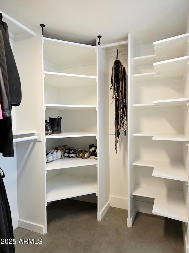 4050 E Cactus Rd Unit 107, Phoenix, AZ 85032 - spacious closet with carpet flooring