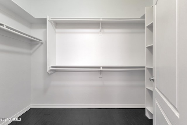 walk in closet featuring dark hardwood / wood-style flooring