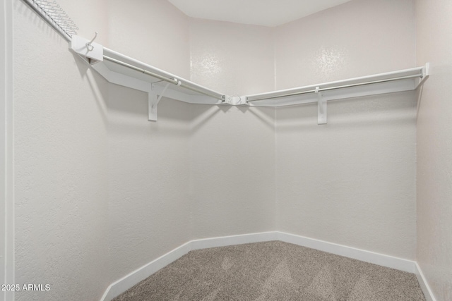 spacious closet with carpet floors