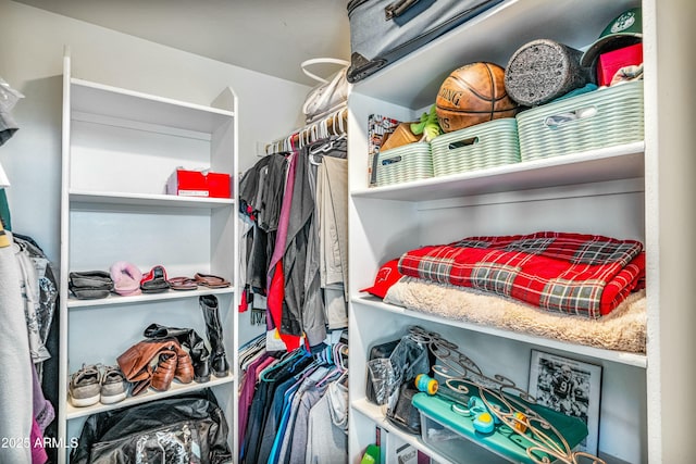 view of spacious closet