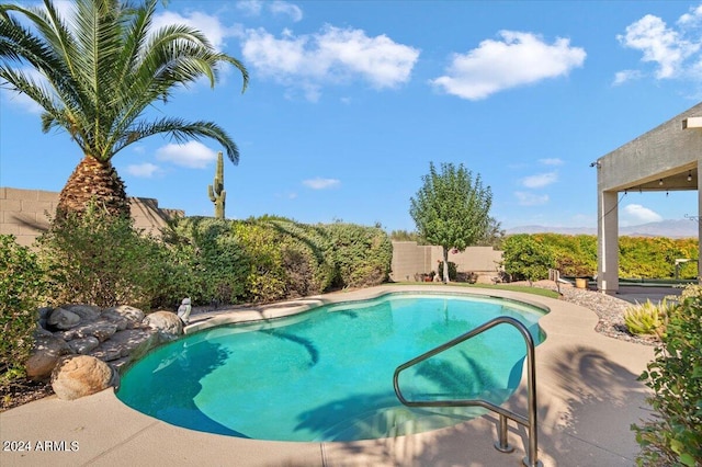 view of swimming pool featuring a patio