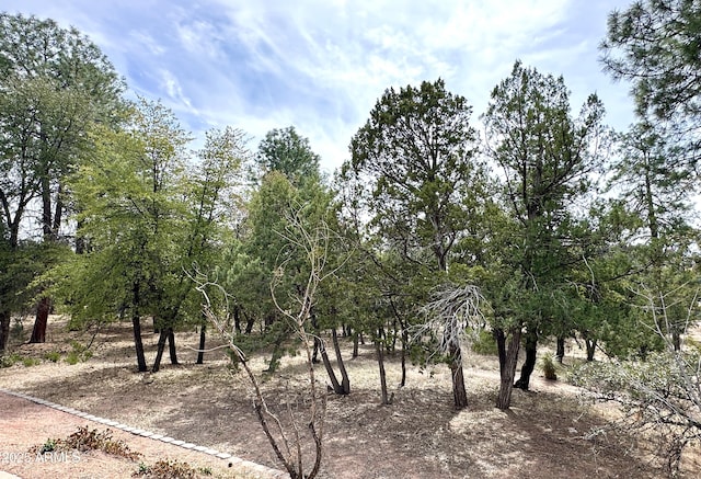 view of nature