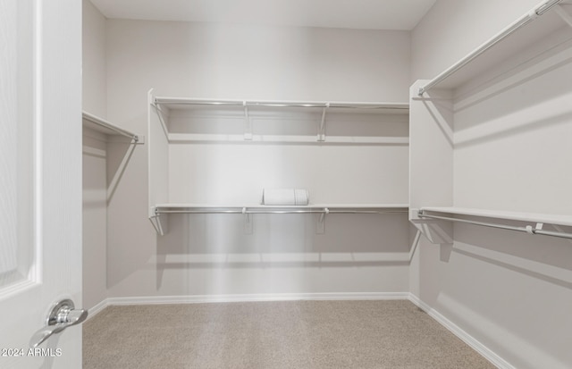 walk in closet featuring carpet floors