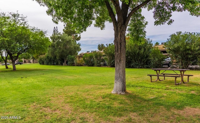 view of home's community with a lawn